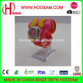 Promotion gifts slap band watch/ silicone carton bracelet watch